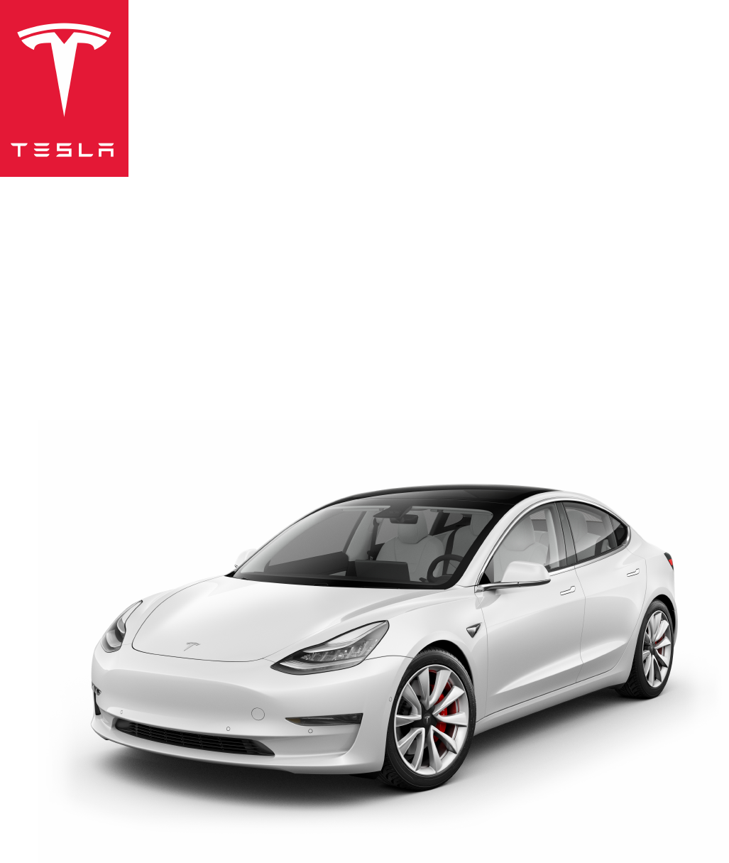 Manual Tesla Model 3 2020 1 of 250) (Dutch)
