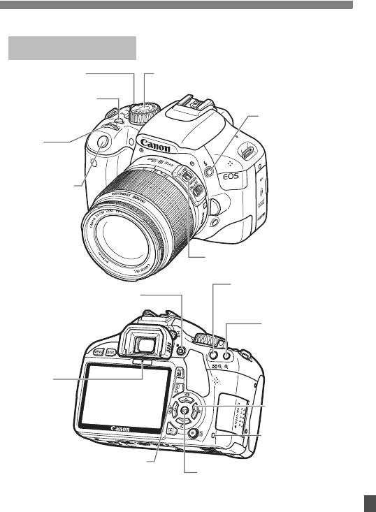 Canon 550d карта памяти